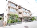 ｼﾃｨ･ﾗｲﾌ島田