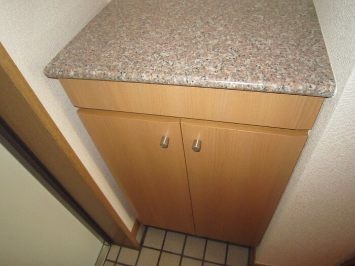 物件内観写真7　(靴箱)