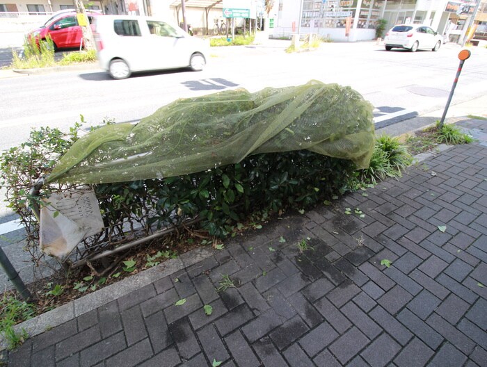 物件外観写真5　(周辺環境)