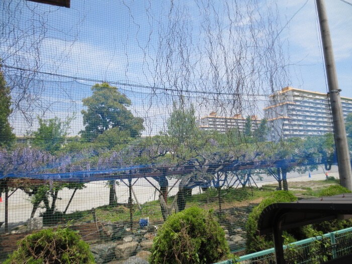 物件外観写真6　(周辺環境)