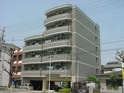 Ｓｏｌｅｉｌ　Ｈｏｎｊｉｎ