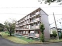 なるみｸﾞﾘｰﾝｺｰﾎﾟ２号棟（202）