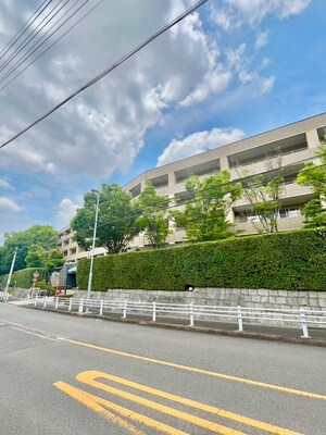 ﾗｲｵﾝｽﾞｾﾚﾌﾞ富士見台壱番館(515)外観写真