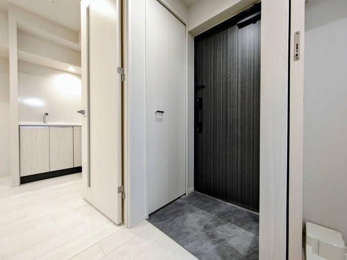 物件内観写真19　(玄関)