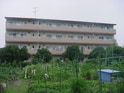 エクセルみどり