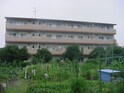 エクセルみどり