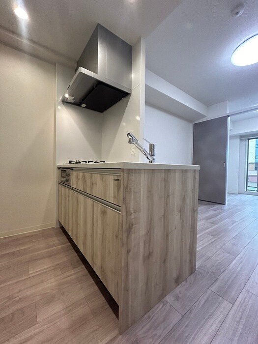 物件内観写真6　(キッチン)