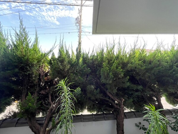 室内からの展望