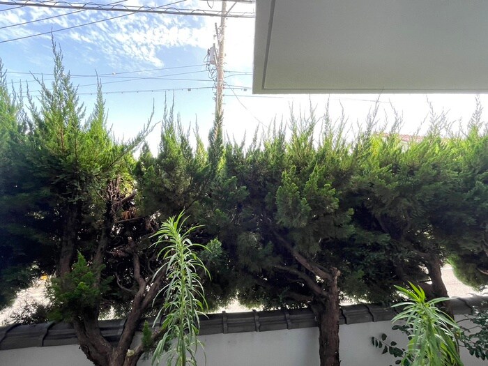 物件内観写真16　(室内からの展望)