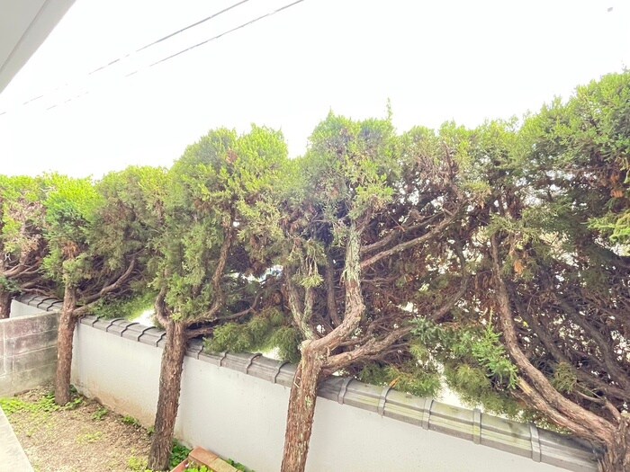 物件内観写真22　(室内からの展望)