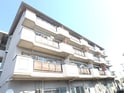 コーポニュー中川