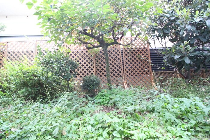 物件内観写真22　(室内からの展望)