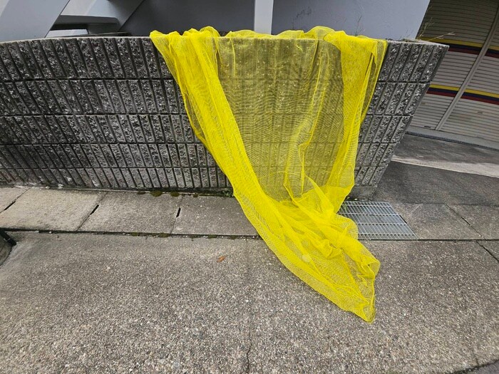 物件外観写真4　(駐車場)