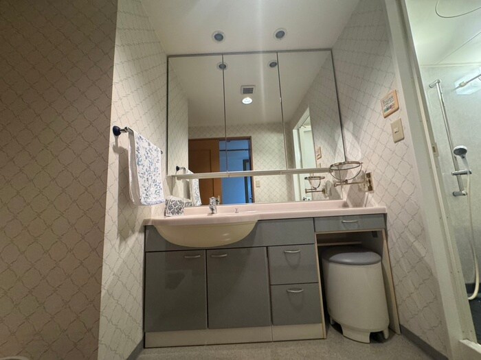 物件内観写真15　(洗面)