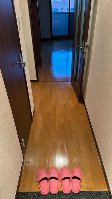 物件内観写真19　(廊下)