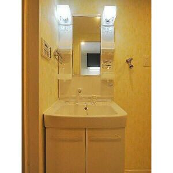 物件内観写真4　(洗面)