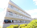 レナ三宅