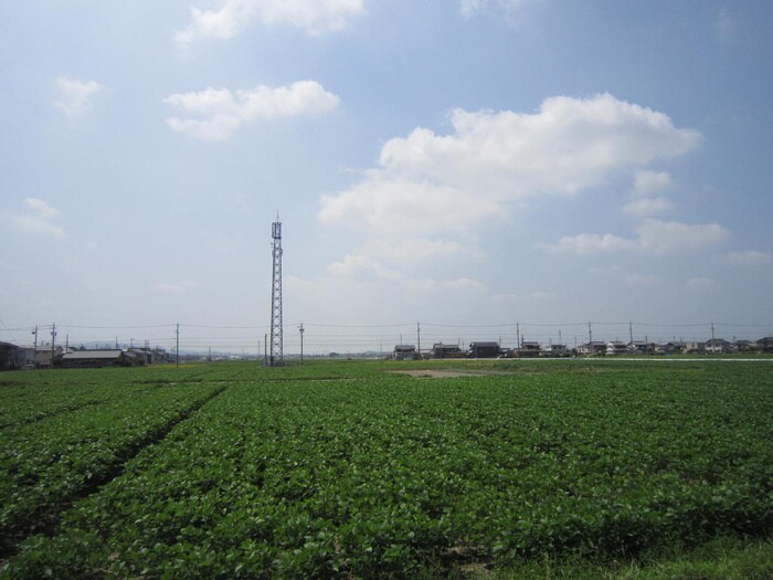 物件内観写真19　(室内からの展望)