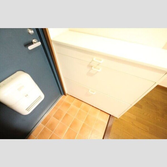 物件内観写真4　(玄関)