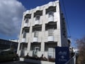 ティカル　平針