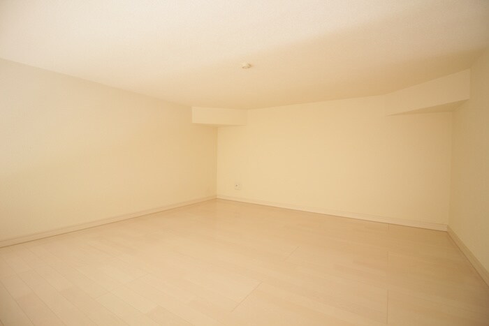 物件内観写真8　(ロフト)