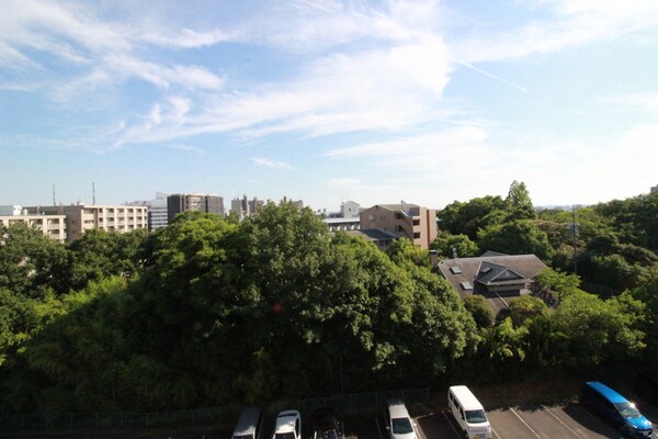 室内からの展望