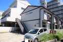 タウニィ市場木