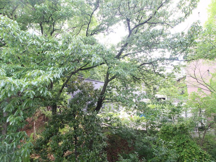 物件内観写真20　(室内からの展望)