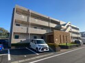 コモンガル小垣江