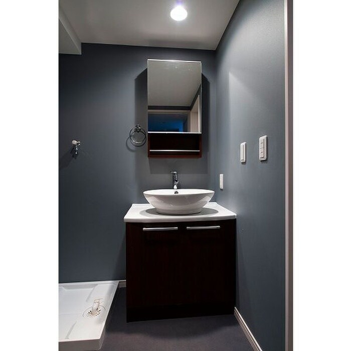 物件内観写真6　(洗面)