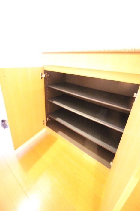 物件内観写真8　(靴箱)