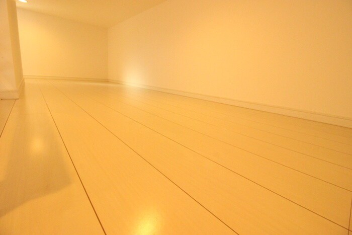 物件内観写真9　(ロフト)