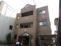サンプレス市場木