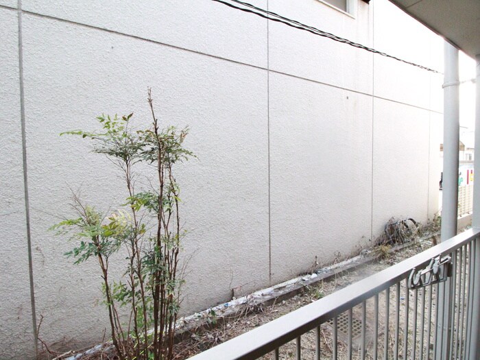 物件内観写真21　(室内からの展望)