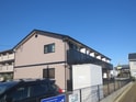 アンプルール　ブワフルール