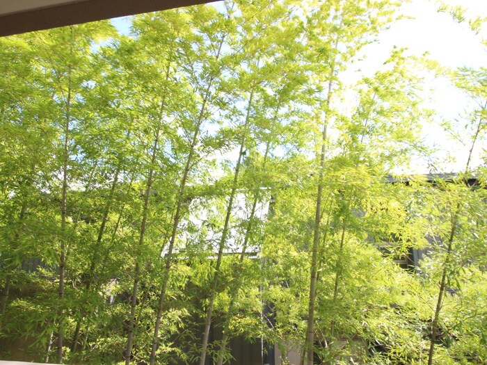 物件内観写真16　(室内からの展望)