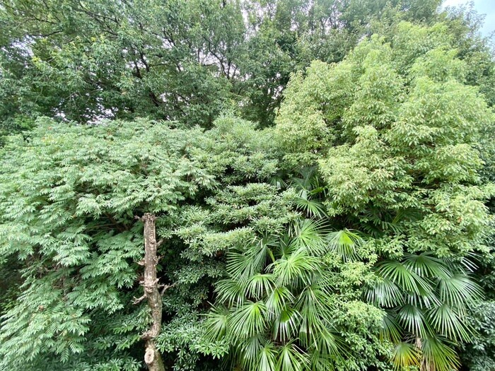 物件内観写真15　(室内からの展望)