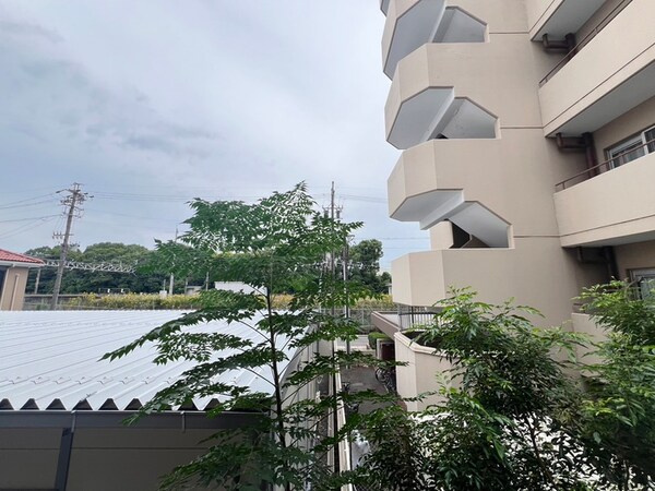 室内からの展望