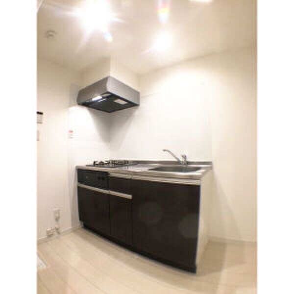 物件内観写真10　(キッチン)