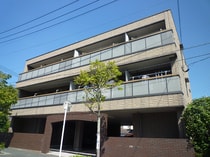 レオン金杜の外観写真