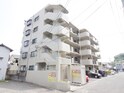 アルバトラモント古前
