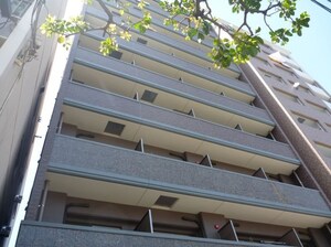 アクタス桜坂レノア(501)外観写真