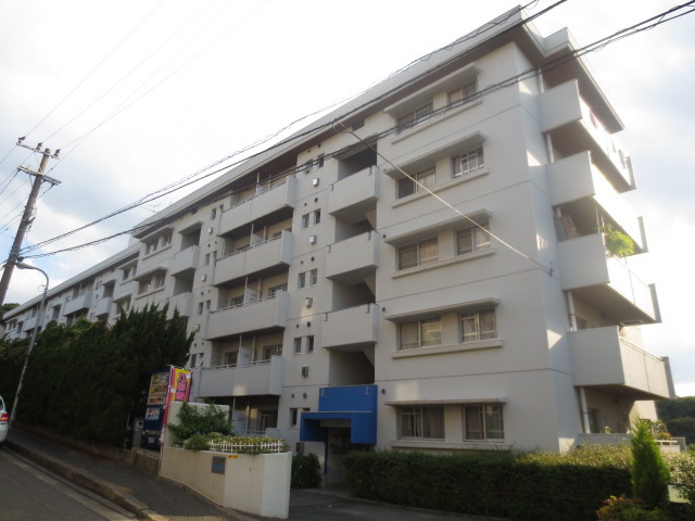 カメリヤ小笹