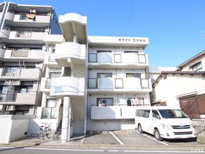 ホワイトエクセル外観写真