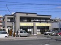 若杉