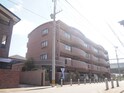 アレグリーア　K＆M