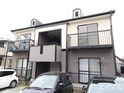 ピア光