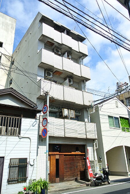 ヤングハイツクロノス(201)外観写真