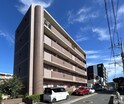 ルーセントピュア