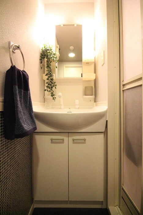 物件内観写真4　(洗面)